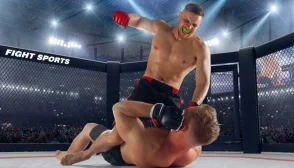 Imagem mostra lutadores de MMA no ringue.