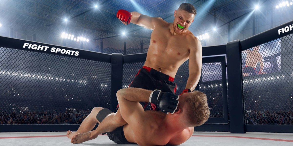 Imagem mostra lutadores de MMA no ringue.