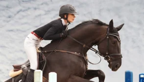 Imagen destacada Caballo