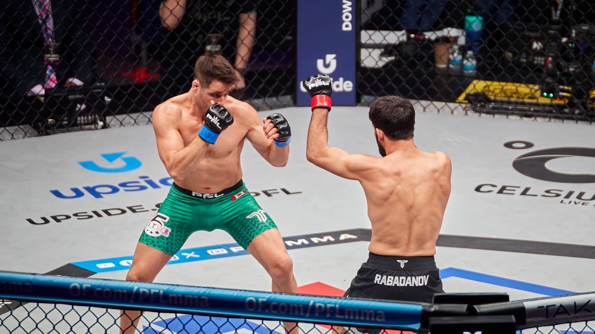 imagem Palpites na Competição Mais Renomada de MMA