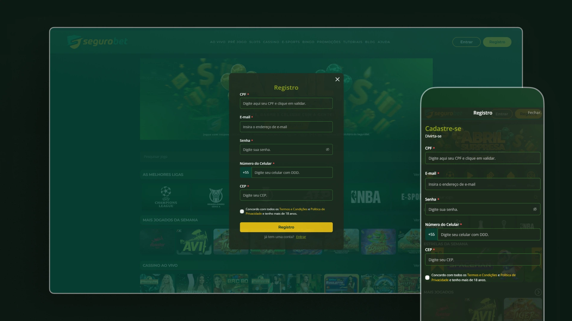 imagem captura cadastro segurobet
