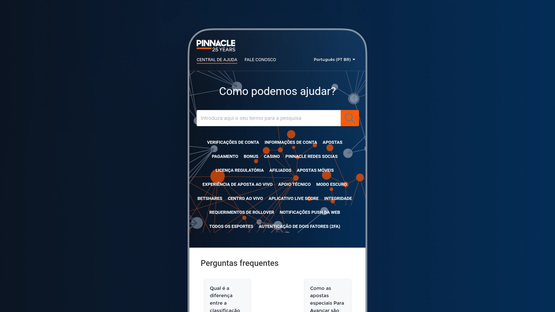 screenshot FAQ pinnacle